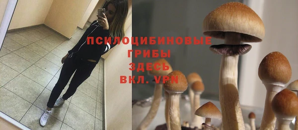 кокаин премиум Богородск