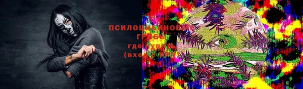 прущие крисы Богородицк