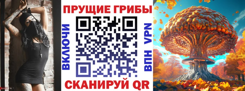 продажа наркотиков  Малаховка  Галлюциногенные грибы ЛСД 