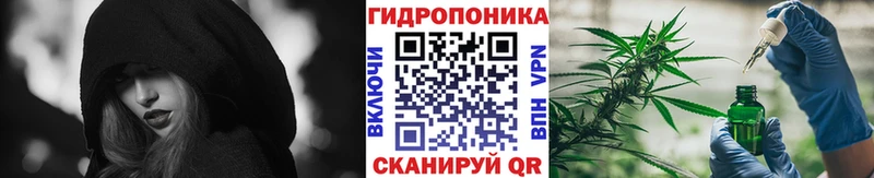 Конопля Ganja Малаховка
